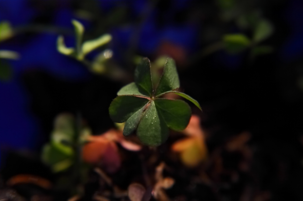 2012 03 17 9999 125